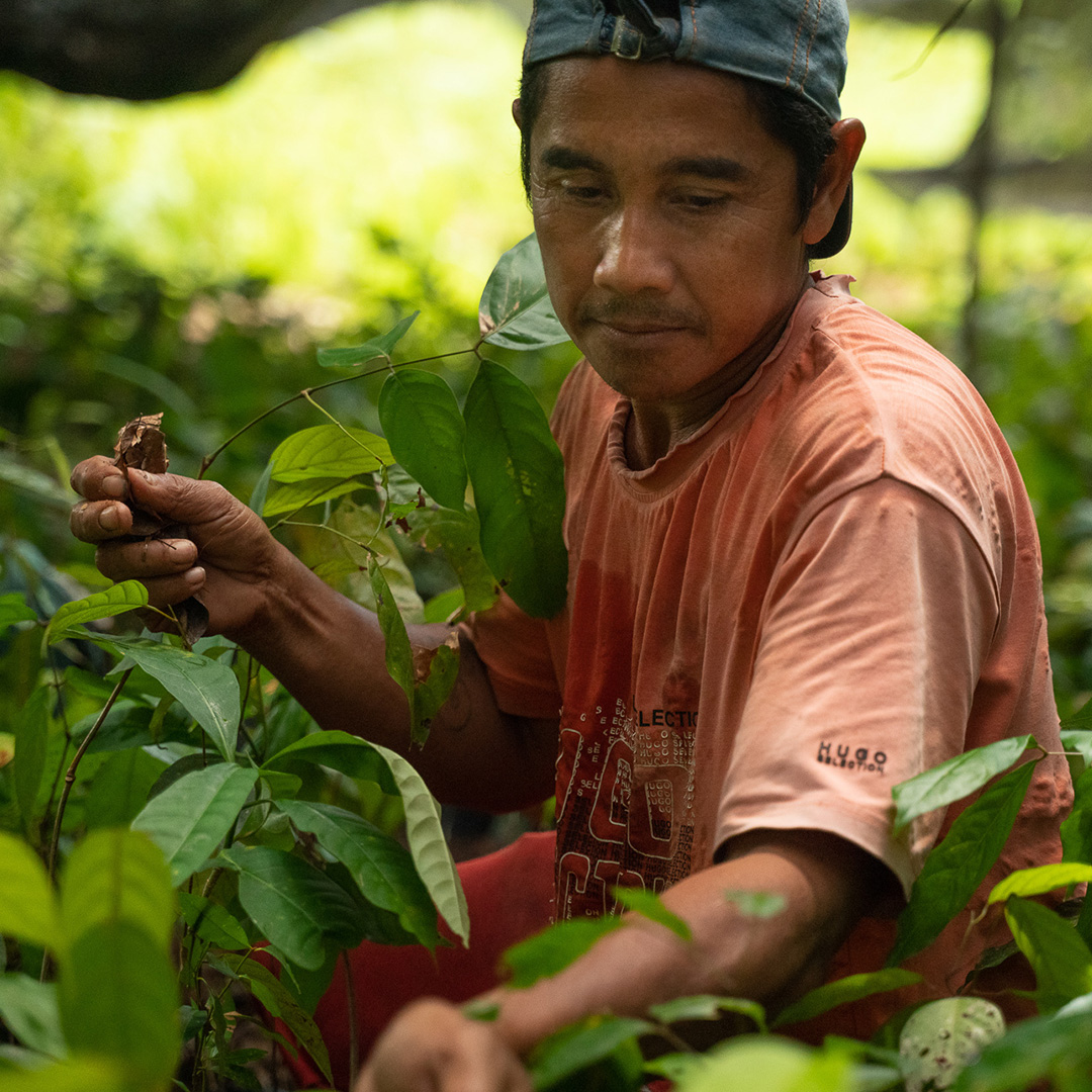People in the Global South are at greatest risk from the climate crisis, making access to clean and affordable energy essential for building a brighter, more sustainable future.

Help us boost these clean innovations: bit.ly/3CqbnNw

#ClimateSolutions #ClimateAction