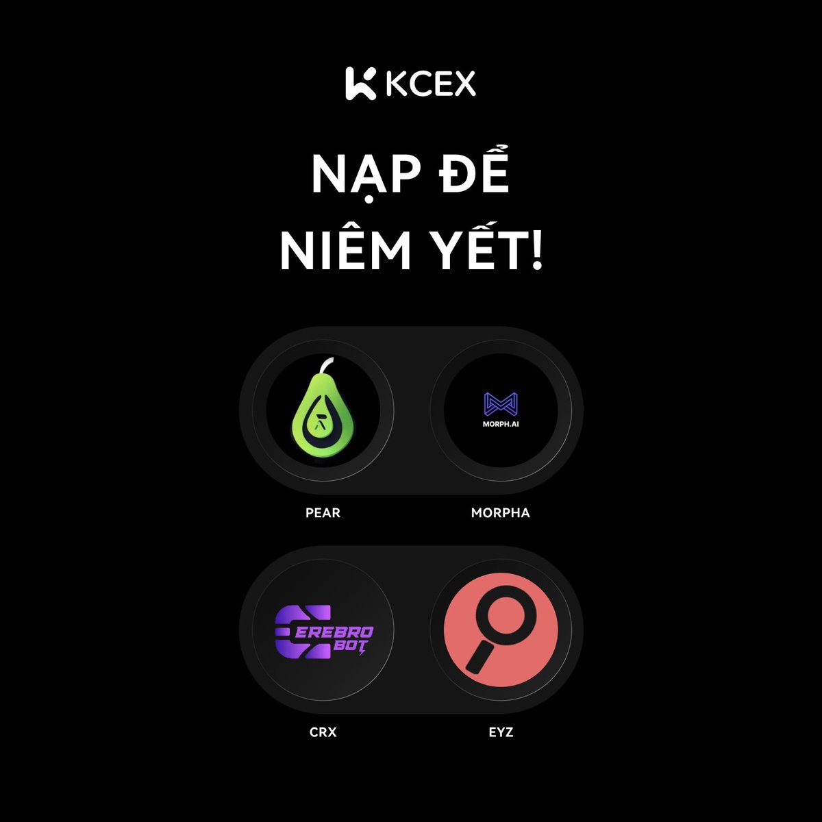 KCEX_Vietnam's tweet photo. 📢 Chào mừng bạn trở lại sự kiện 'Gửi tiền để niêm yết' của KCEX tuần này! #KCEX

🗓️ Từ 8 giờ sáng ngày 17 tháng 12 đến 8 giờ sáng ngày 18 tháng 12 (UTC), đây là cơ hội để bạn hỗ trợ dự án lớn tiếp theo:
@PearAIeth

@MorphAIEth

@CerebroSwap

@EyzoAi

💸 Gửi tiền trong vòng 24 giờ tới và để dự án yêu thích của bạn tỏa sáng! 👉 https://t.co/ocoHq4kH0S