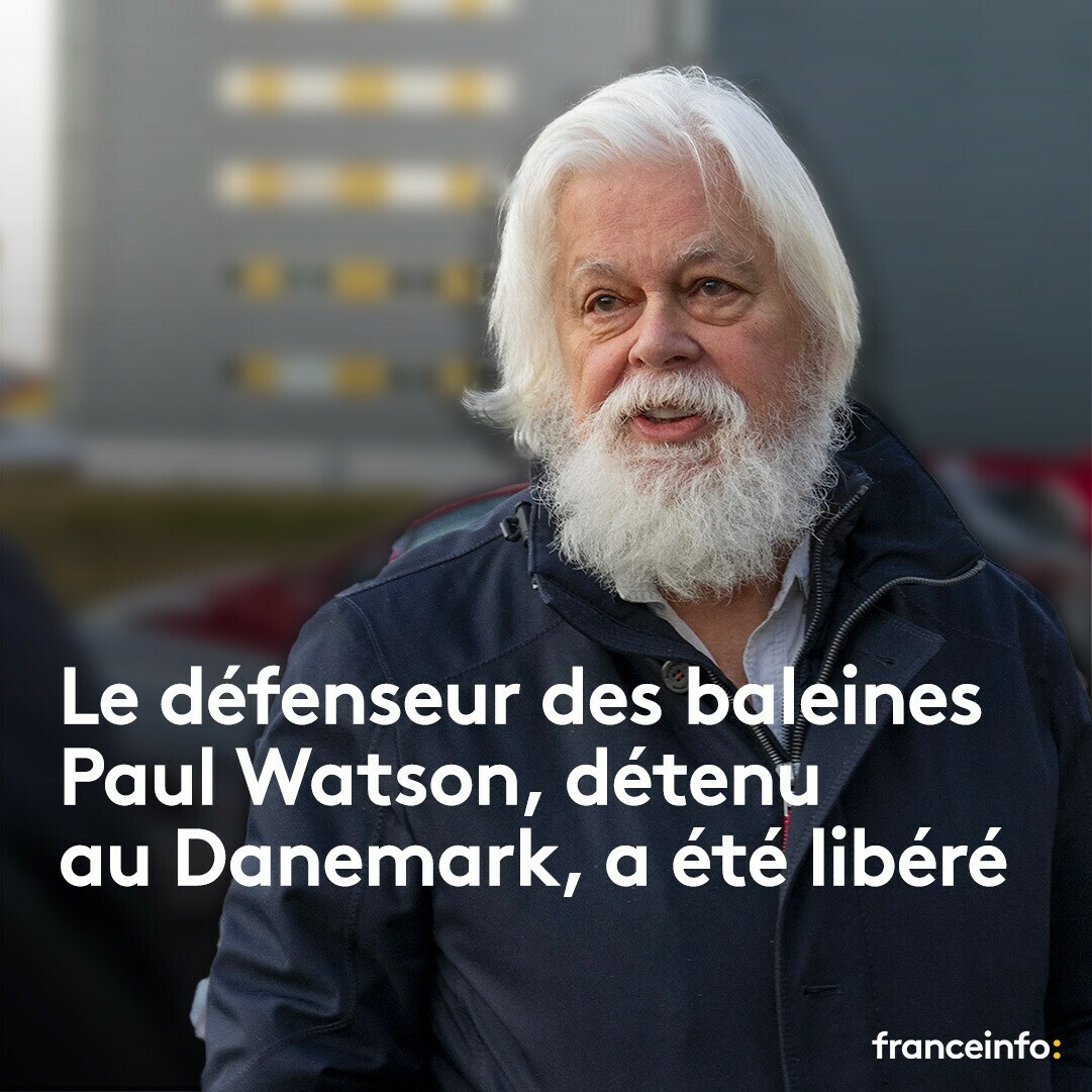 📢 "Paul est libre !!" 

Le militant écologiste Paul Watson a été libéré, a annoncé, mardi 17 décembre, son association Sea Shepherd sur X.