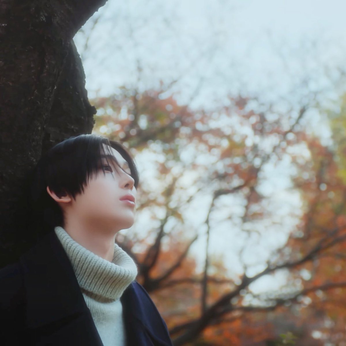 litchi_Trees's tweet photo. #SUNOO  Beautiful https://t.co/sneQ1Vrt3b