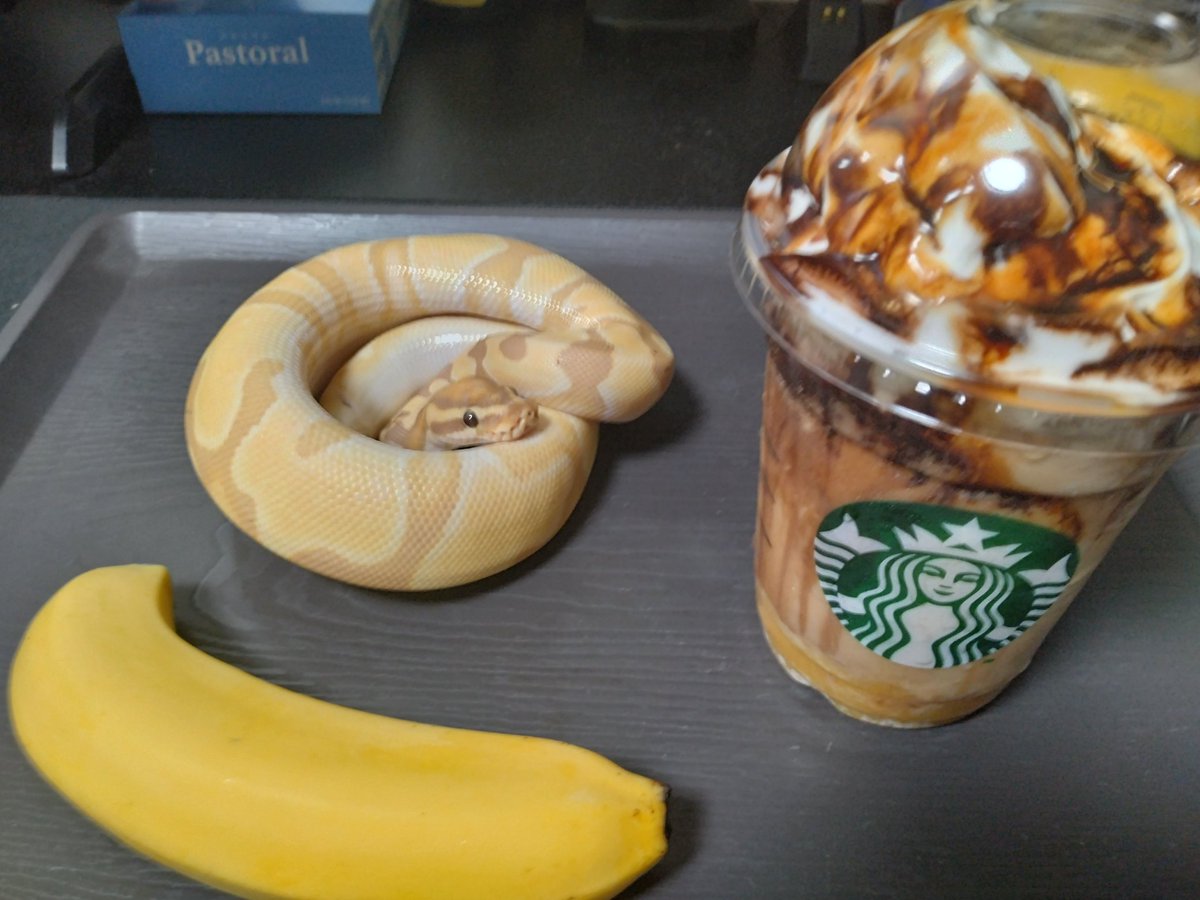 バナナを選択してください
#おへびの魅力を広め隊