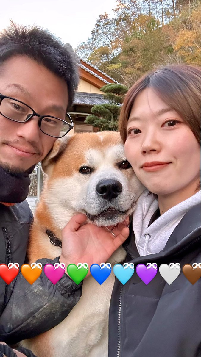 bibi0617bibi's tweet photo. なかよし家族🤍

#秋田犬 https://t.co/eI4FZxmy71