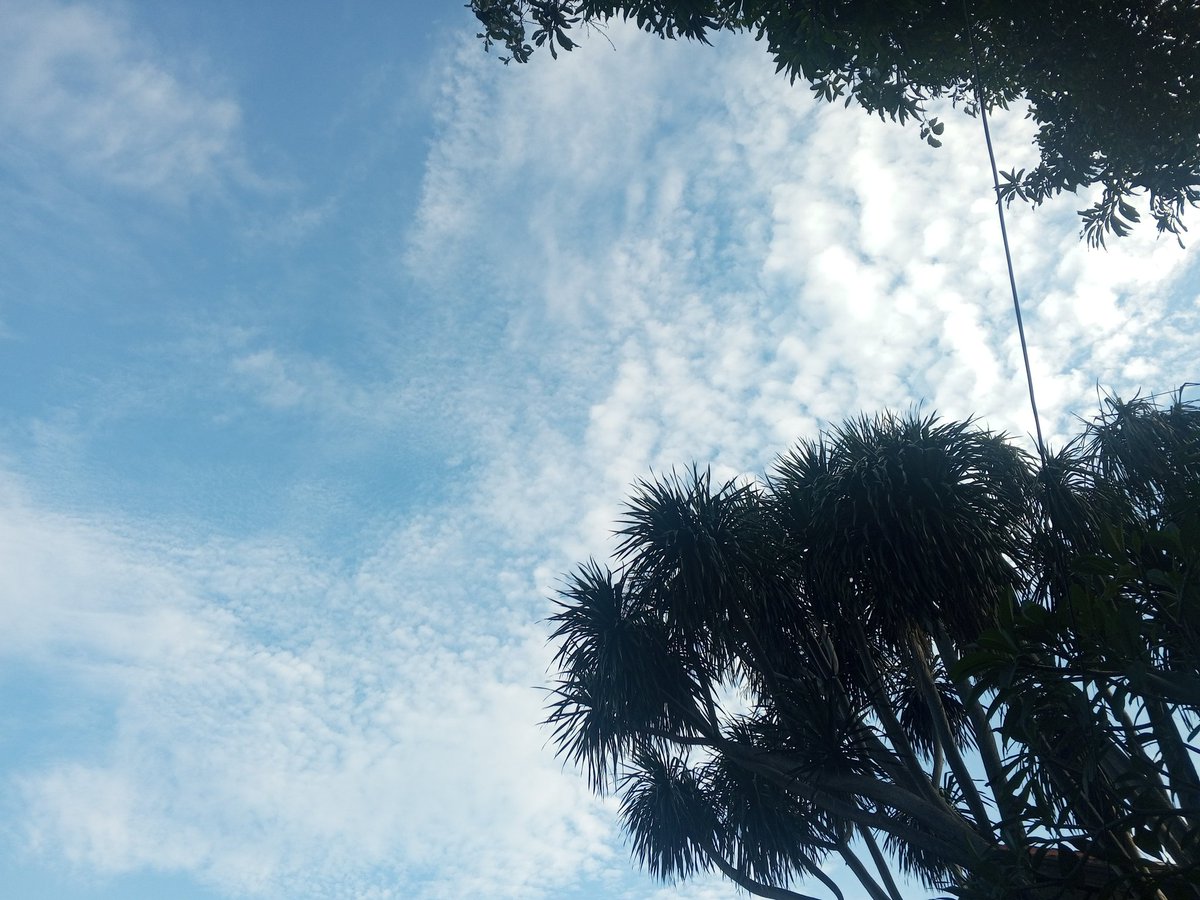 buildingpeace_'s tweet image. Langit lagi bagus. Subhanallah. 🫰🏼🤍✨

#langit #bluesky #jakarta