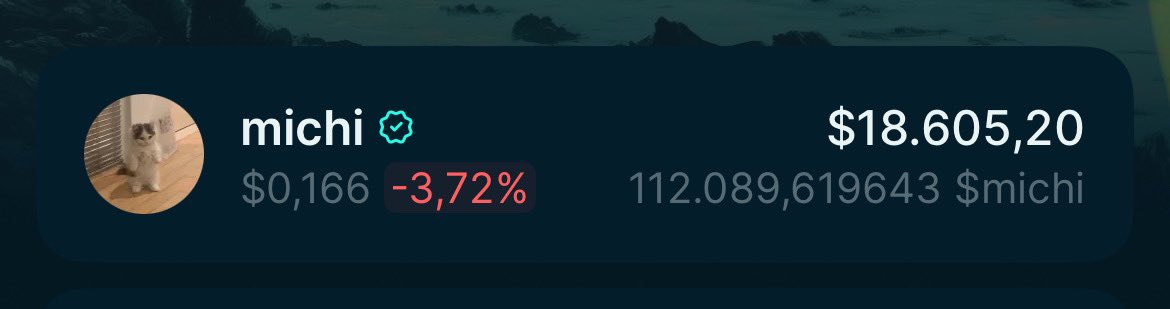ı am tired. Gmichi $michi my target 150k. I still buy 🔥