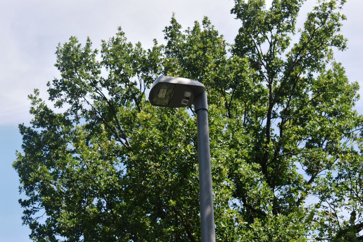 Umfrage zu #Pilotprojekt in der #Hasenheide läuft bis Ende Mai 2025
Im Volkspark Hasenheide hat das Land Berlin die Beleuchtung erneuert. ...zudem ein Pilotprojekt an den Start gegangen: Das #Licht „läuft mit“.
berliner-woche.de/neukoelln/c-um…
#Neukölln #Neukoelln 
Foto: #SusanneSchilp