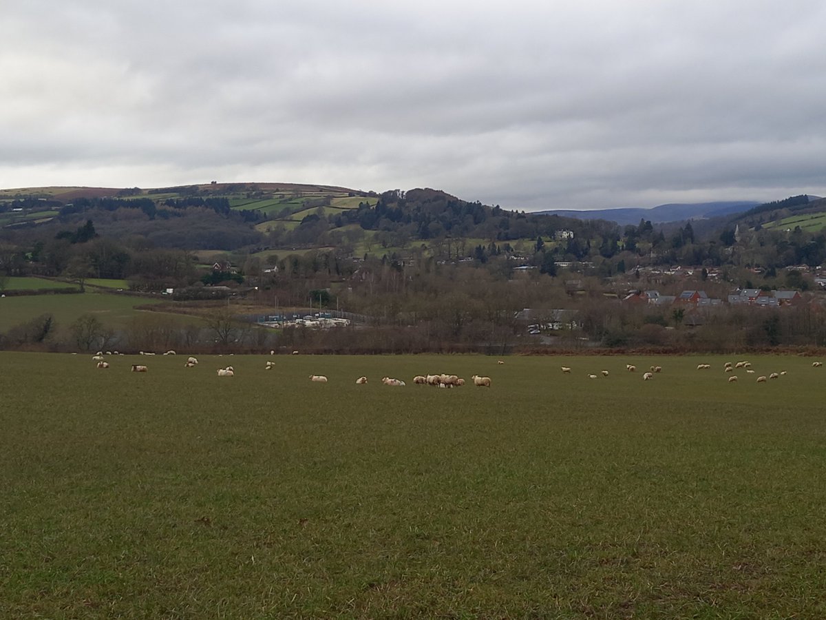 #SlowWaysUK Looking back across Kington towards Hergest Ridge from pioneer trial of Kinweo. <a href="/SlowWaysUK/">Slow Ways</a>