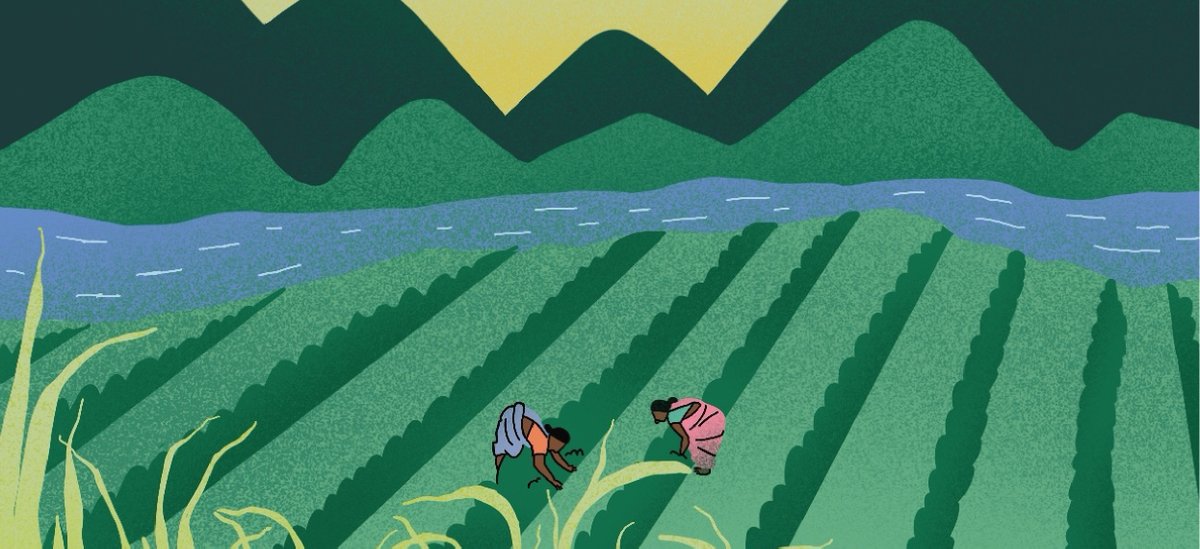“Seeding Futures: Connecting Feminist Political Ecology and Agroecology”: insights from a webinar -  undisciplinedenvironments.org/2024/12/17/see…