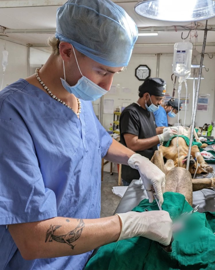 Young Vets Club tweet media