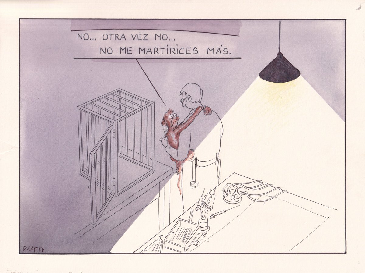 pacocatt's tweet photo. Mi viñeta.
No olvidemos nunca a los mártires inocentes. https://t.co/wadeDkaZ3r