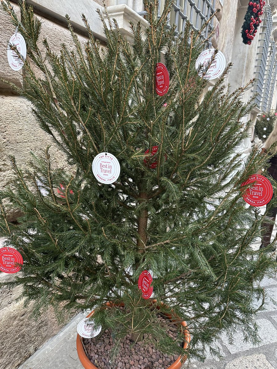 Pallone gonfiato, la decorazione natalizia che apre e chiude Via Garibaldi.