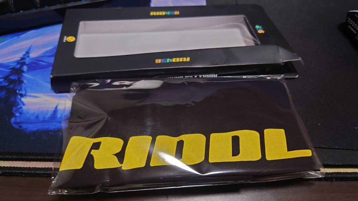 RID456アームカバー届いたわね