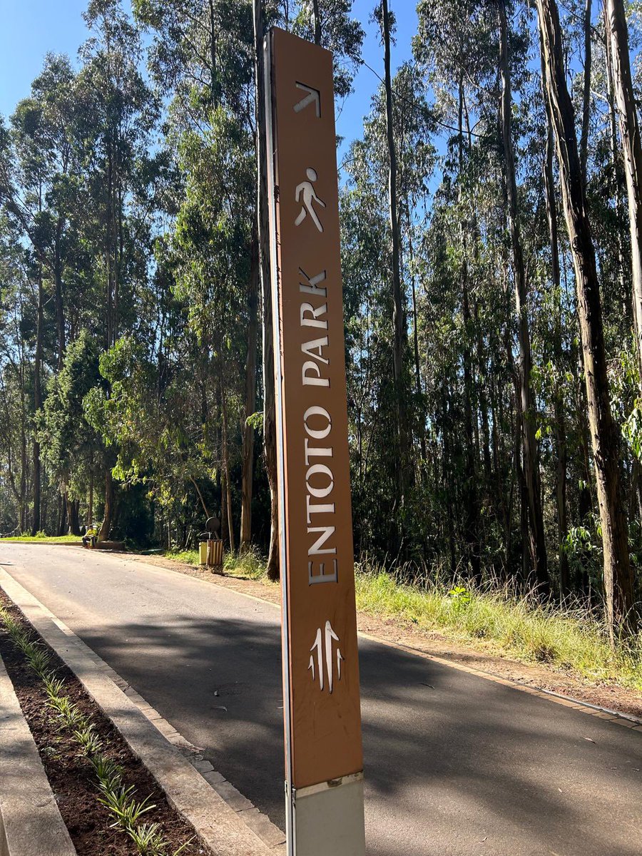 PaulWaltersUK's tweet image. I love 🇪🇹’s national sport of running. I was able to do my last high altitude run of the year at the weekend at #Entotopark. 

Half marathon distance at 3km above sea level, enjoying the same #magicair that breeds Olympians! 

@greatethrun @RunComPod