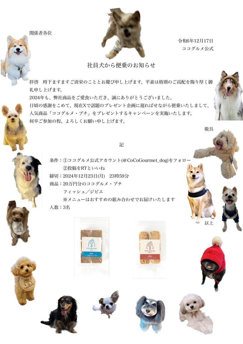 CoCoGourmet_dog's tweet photo. 大変遅ればせながら、社員犬から便乗のお知らせです
#1年分プレゼント 
#ならぬ20万円相当プレゼントキャンペーン https://t.co/Yq8WLALHaT