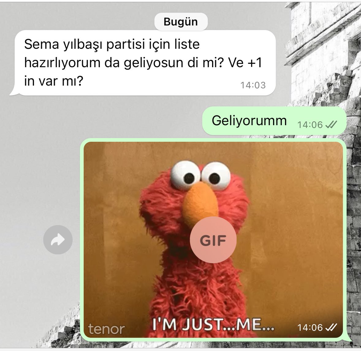 Evet ben ve yalnızlığım