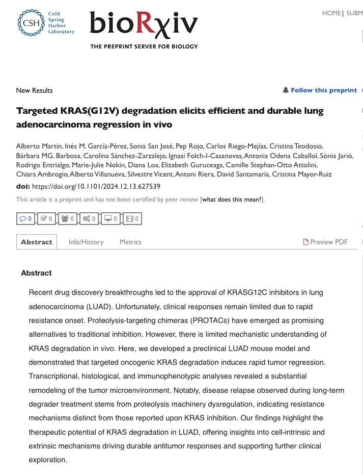 IRBBarcelona's tweet photo. 📰👀 Check out this thread about the new #preprint by our #TargetedProteinDegradation & Drug Discovery lab (Dr. @CrisMayorRuiz) around oncoprotein degradation in vivo, in collaboration with @lab_santamaria- @ciccancer!
📌DOI: https://t.co/DvGsdKHn9c
#TPD #KRAS
🧵👇 https://t.co/kgbROqIn71