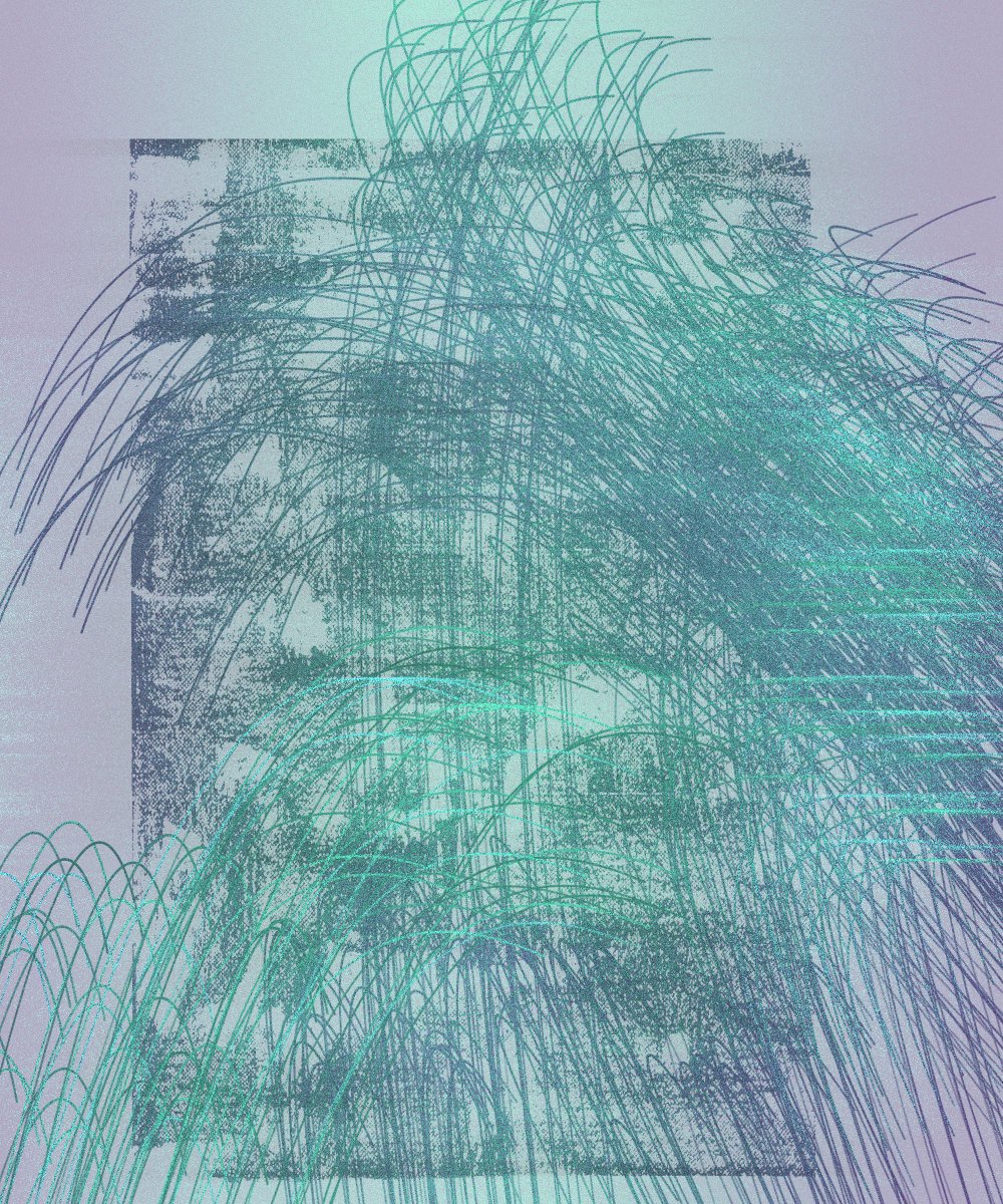 ordinal_fields's tweet image. gm