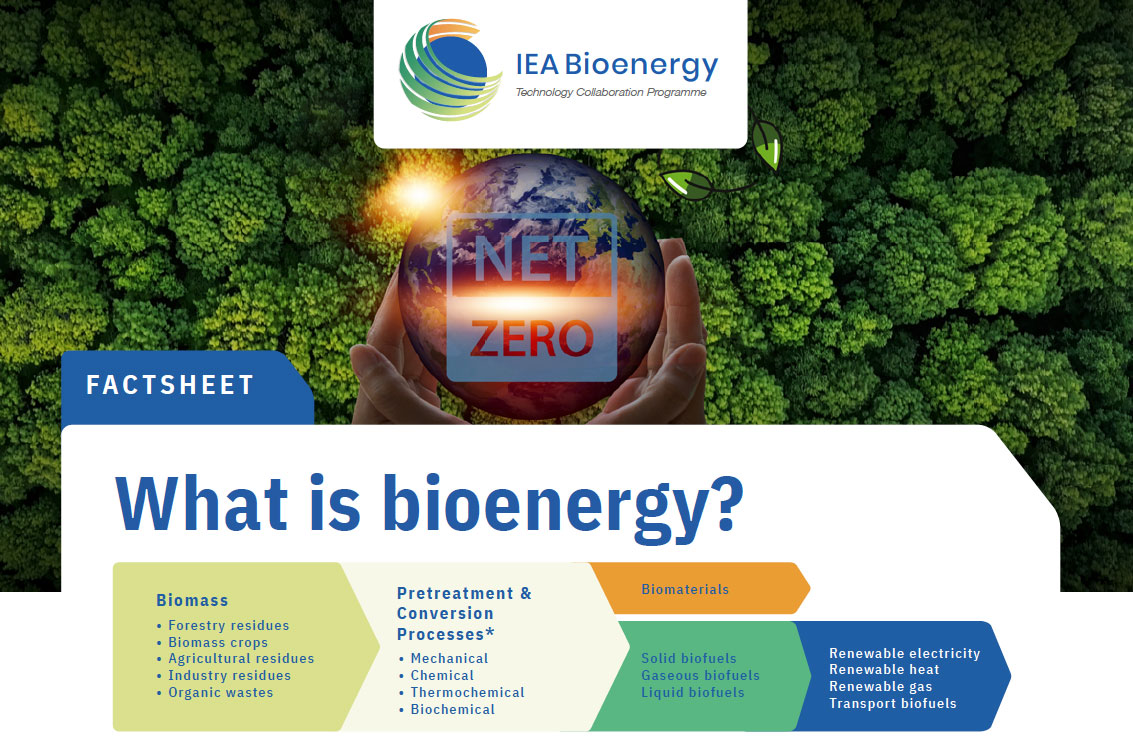 What is Bioenergy?

Bioenergy is renewable energy derived from biomass, which is organic material sourced from plants and animals. Common examples include woody biomass, multipurpose crops, dedicated biomass crops, and organic waste from industries, agriculture, forestry, and