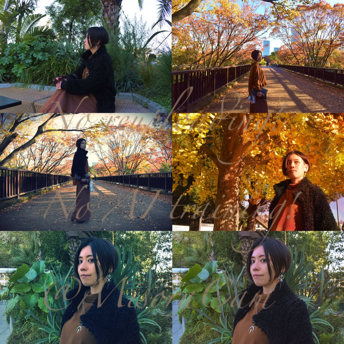 満天(ﾐｿﾗ)現在新規予定不可 tweet media