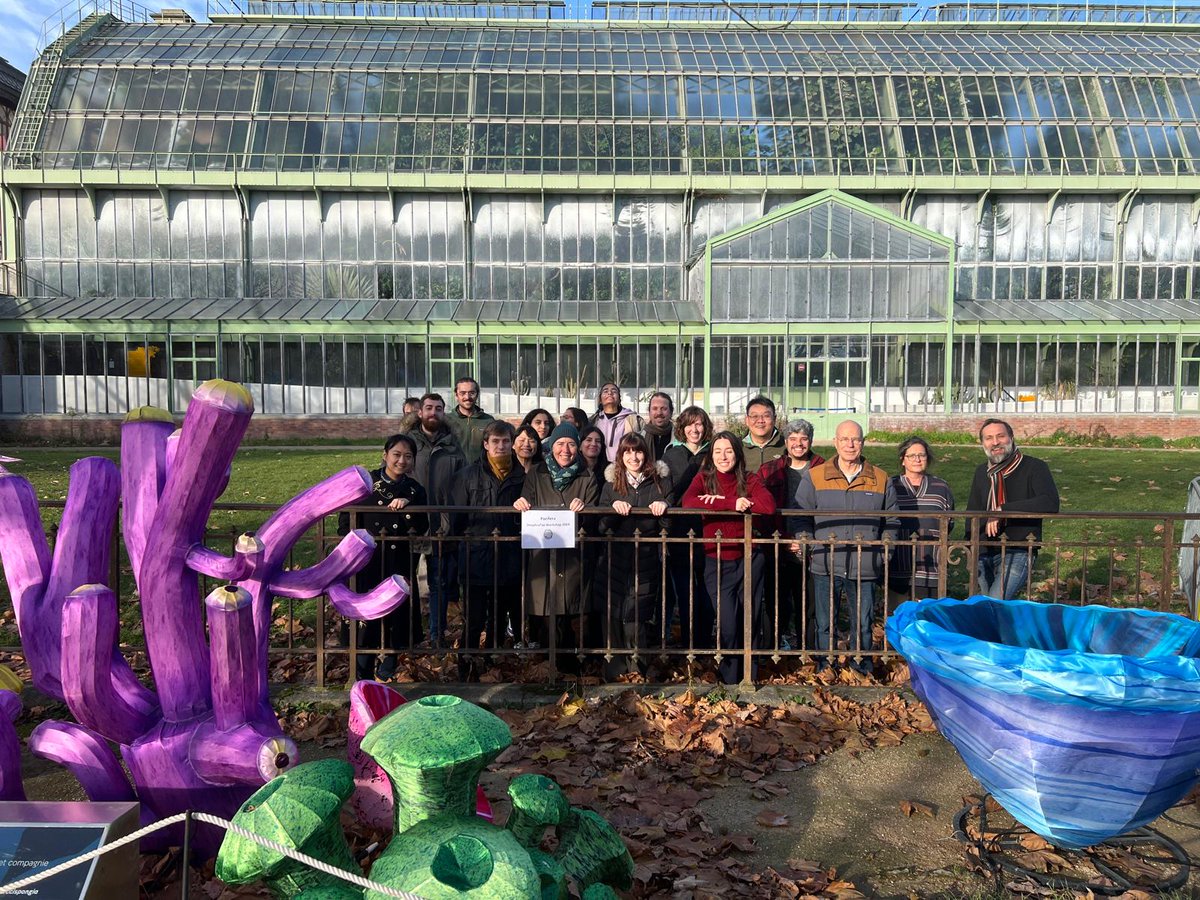 biocelso's tweet photo. Last week, we completed a 10-day deep-sea Porifera taxonomy workshop at @Le_Museum Paris! The workshop aimed to train a new generation of taxonomists and advance studies of New Caledonia's biodiversity. We also digitized the collection to make globally accessible. 🌊🧽#SponBIODIV https://t.co/2605EKt0nD