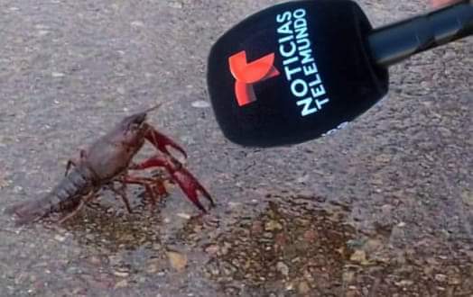 Se me está haciendo bien difícil esto de la mariposa pero por mi poco espacio de memoria del celular. Aunque aún no reconozco a casi nadie ahí, al menos voy relativamente rápido. Pa navidad vuelvo a subir algo por acá