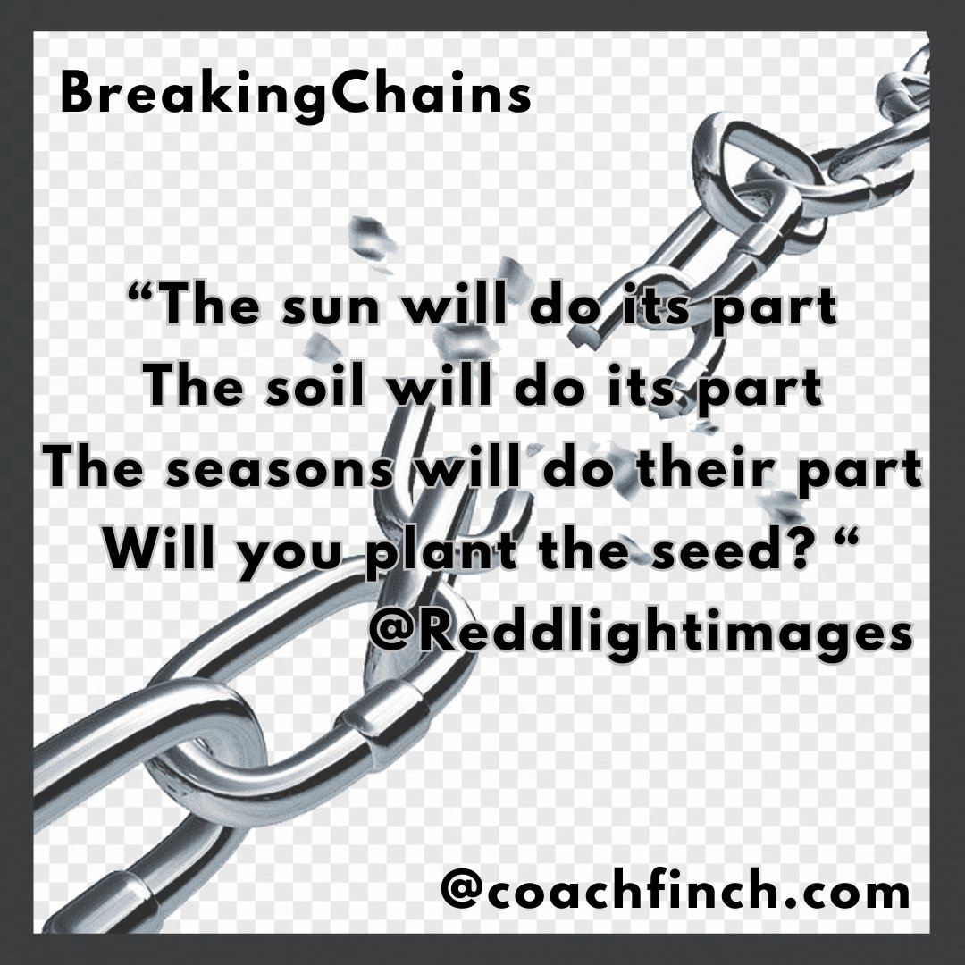 Your__Coach's tweet photo. #coachfinch #breakchains #breakingchains #plantseeds #harvest #doyourpart #grow #growth #ironsharpensiron #doyourpart #doyourjob #life #live #love https://t.co/JGro7c6cBh