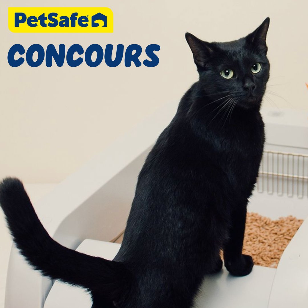 PetSafeFR's tweet photo. FOLLOW &amp; RETWEET @PetSafeFR Oubliez votre pelle à litière et tentez de gagner aujourd'hui notre nouveau Bac à litière agglomérante autonettoyant ScoopFree pour votre chat ! 🐾 TAS d'1 gagnant le 16 décembre prochain !
Participations ouvertes en France et Belgique ! https://t.co/d23rygj6wO