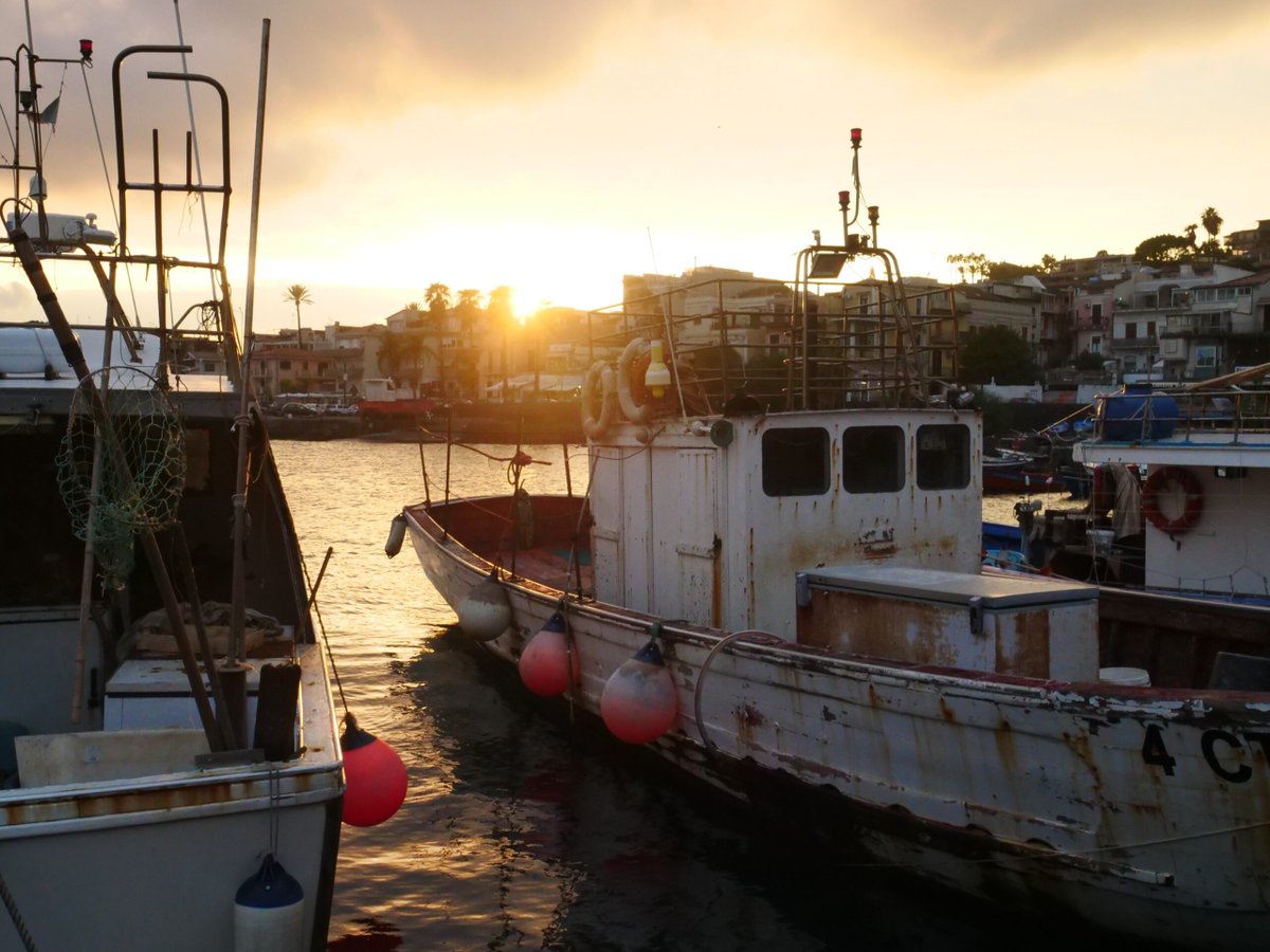 A Changing Sea: The Threat of the Fireworm for Sicilian Fisherfolks -  undisciplinedenvironments.org/2024/12/10/a-c…