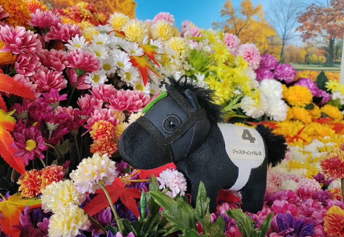 Justin__Palace's tweet photo. 有馬記念のジョッキーは

坂井瑠星騎手に正式にきまりました

坂井瑠星騎手は
ぼくのクセを
ちゃんとおぼえてくれてるから
きっとうまくエスコート
してくれるでぱれす

2005年有馬記念の仇を
とりにいくから

父ちゃん見ててね https://t.co/rvxQ7cQyDI