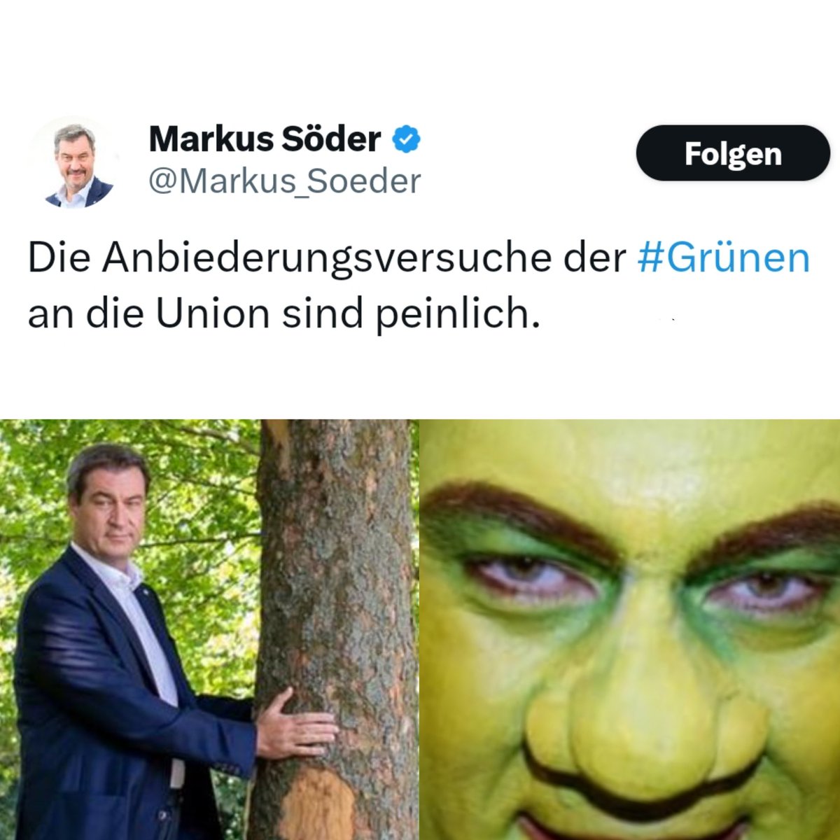 dankegedanke tweet media