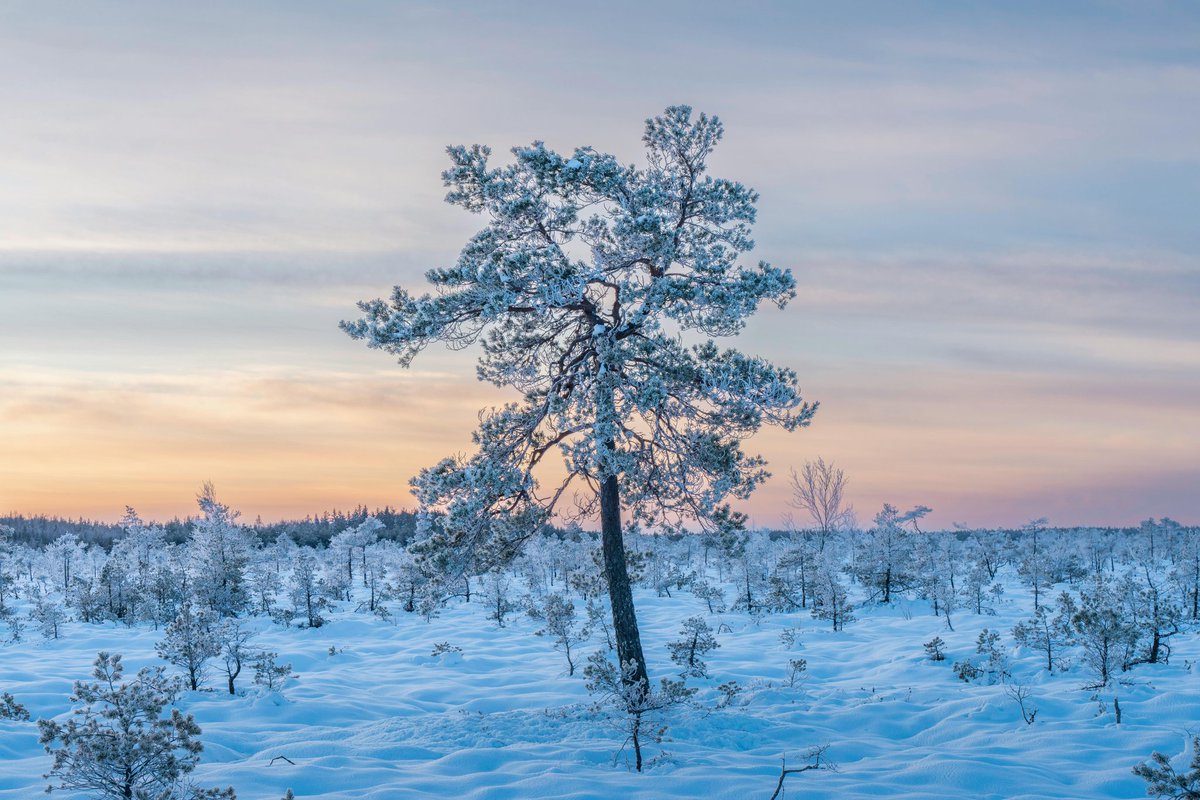 Steve58815862's tweet photo. Good morning everyone. Happy Tuesday 🌞☕ 
#10Dec #tuesdayvibes #beauty #beautiful #nature #Naturescenery #naturephotography #wallpaper #NatureIsMyInternet #wallpapers #GoodMorningEveryone https://t.co/jB18Mw7lJ3