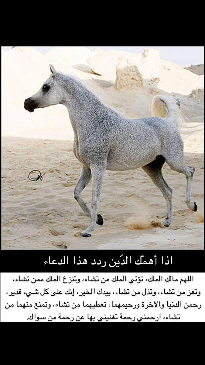 إذا أهمّك الدّين ردد هذا الدعاء