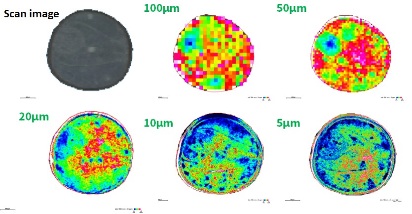 MetwareGlobal's tweet image. ✨ New Spatial #Metabolomics Service! Achieve 5 μm resolution and detect 1,000+ metabolites with exceptional accuracy using MALDI-TOF MS for precise molecular mapping. Unlock deeper insights today! metwarebio.com/spatial-metabo… #SpatialMetabolomics #SpatialOmics #OmicsResearch