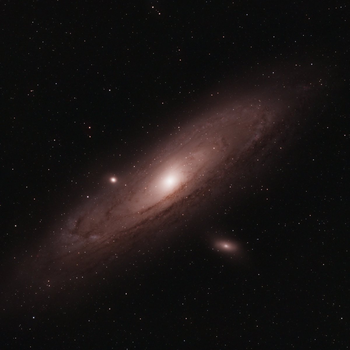 Nick Cano tweet media