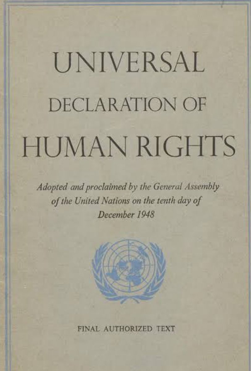 On this #HumanRightsDay, and every day, the protection of all human rights (whether economic, social, civic, cultural or political) rely on all of us. 

Each one of us can and shall contribute to advancing human rights for all.

#OurRightsOurFuture