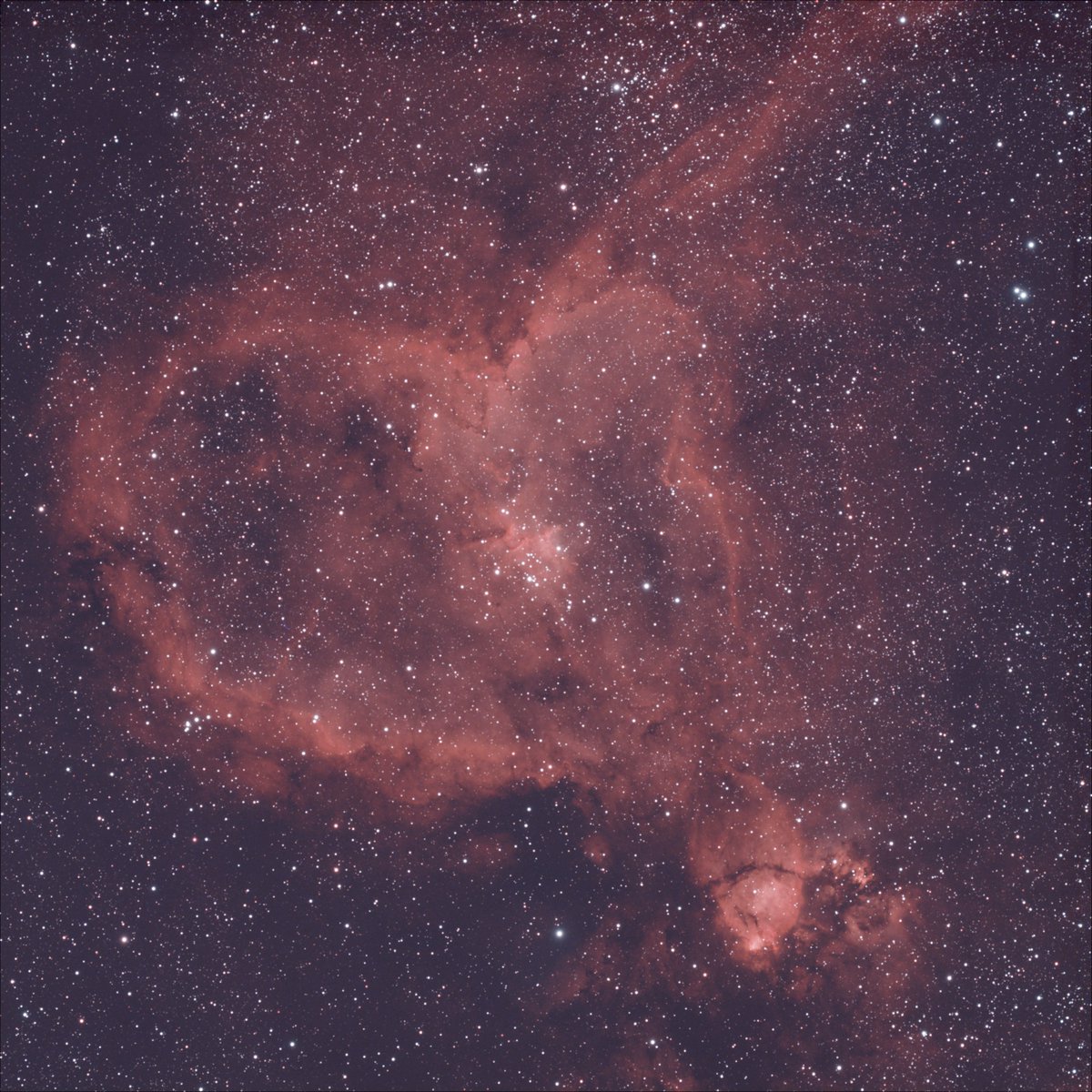 Nick Cano tweet media