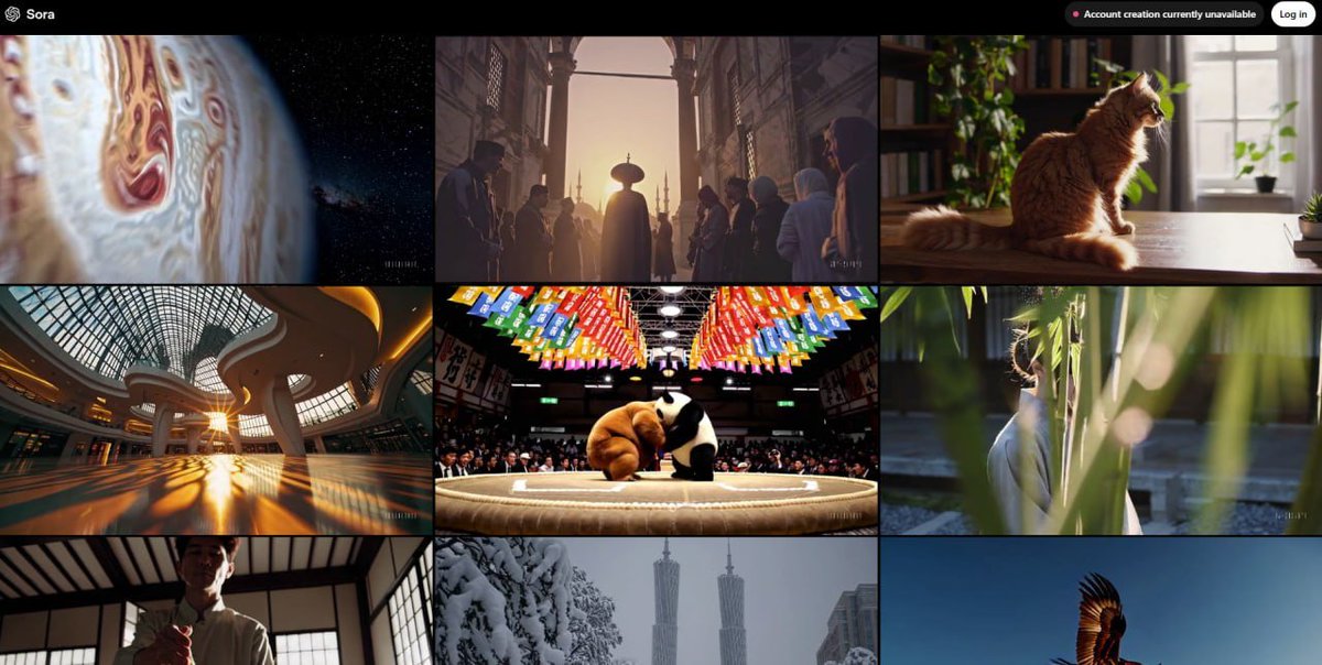 84 Alpha tweet media