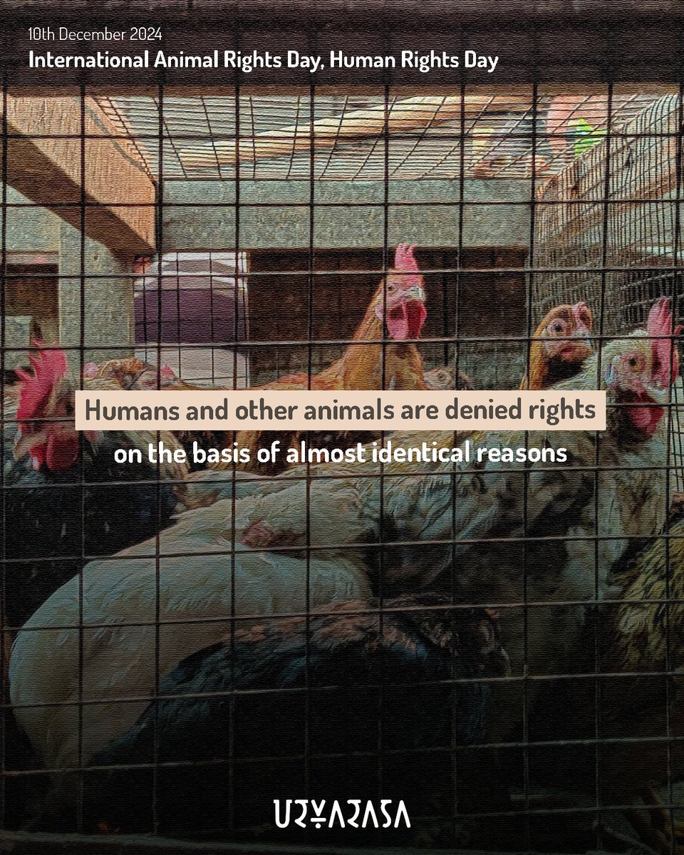 Urvarasa tweet media