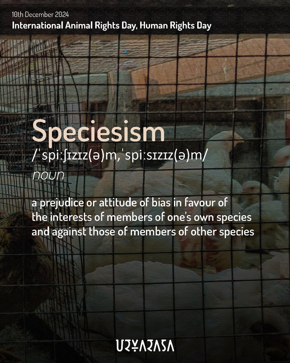 Urvarasa tweet media