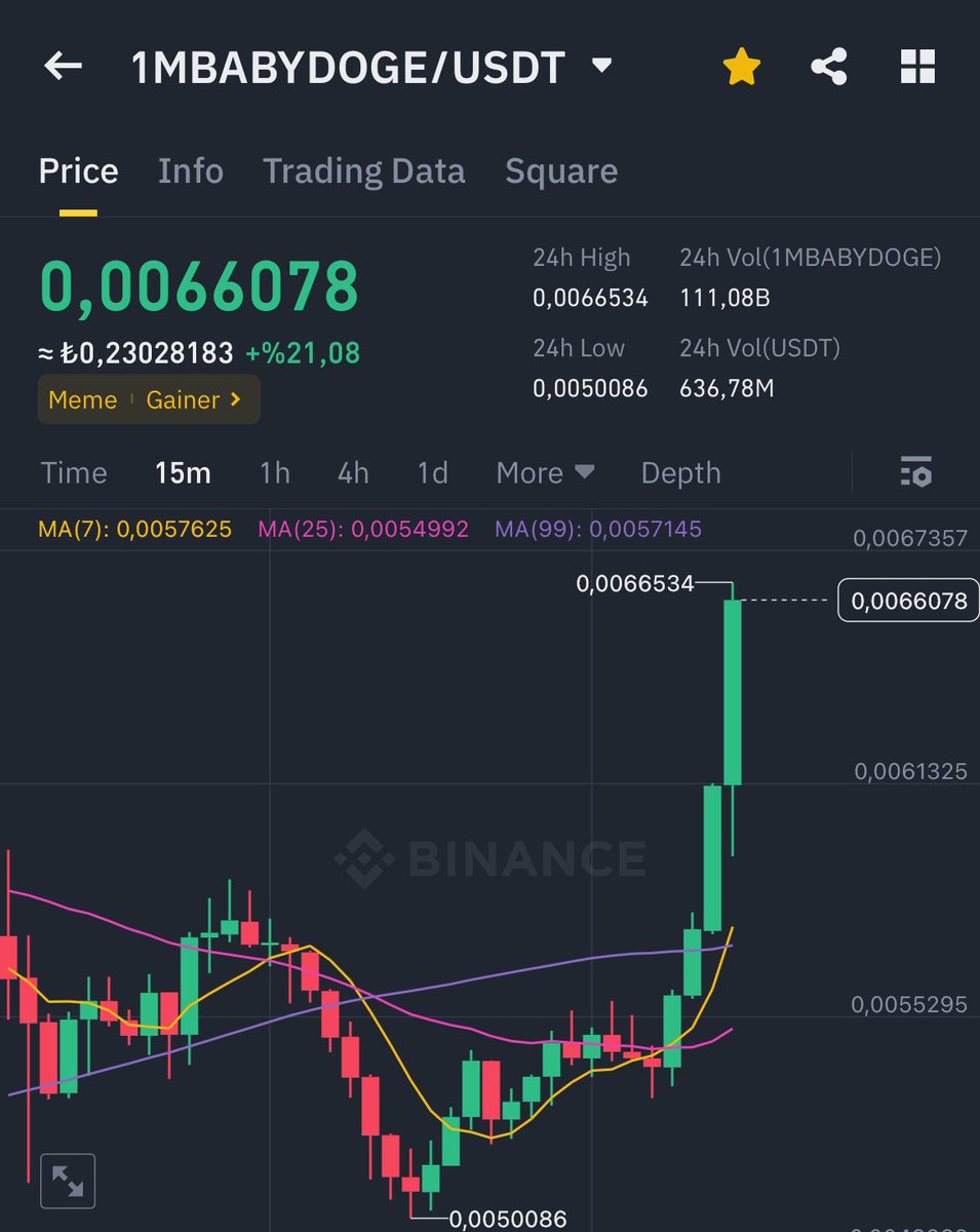 BabyDogeTur's tweet photo. 🚀 BabyDoge yeni ATH yaptı ve tüm zamanların en yüksek fiyatını kırdı! 🎉🔥 

#BabyDoge #BabyDogeCoin #Binance https://t.co/mZJtzYNIJs