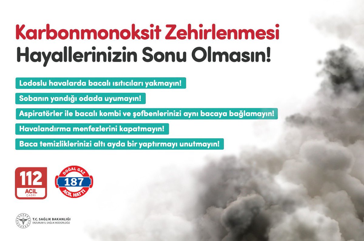 Karbonmonoksit (CO) renksiz, tatsız, kokusuz, yanıcı zehirli bir gazdır. Vücuda solunum yolu ile girer ve doğrudan kana geçip oksijen alımını engelleyerek zehirlenme ve ölüme neden olur.