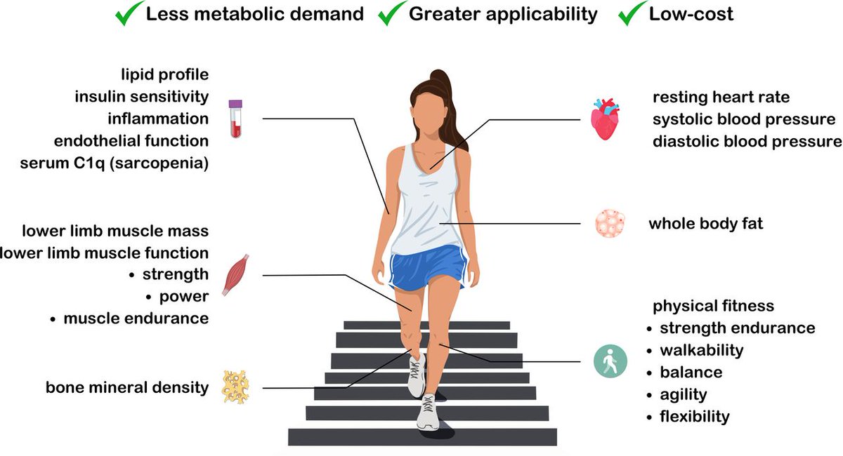⚠️ Descending stair walking as exercise medicine 🏃‍♀️

See ⬇️ the practical advantages and main health-related benefits ✅

NEW #Editorial 👉 bit.ly/4g03cGE