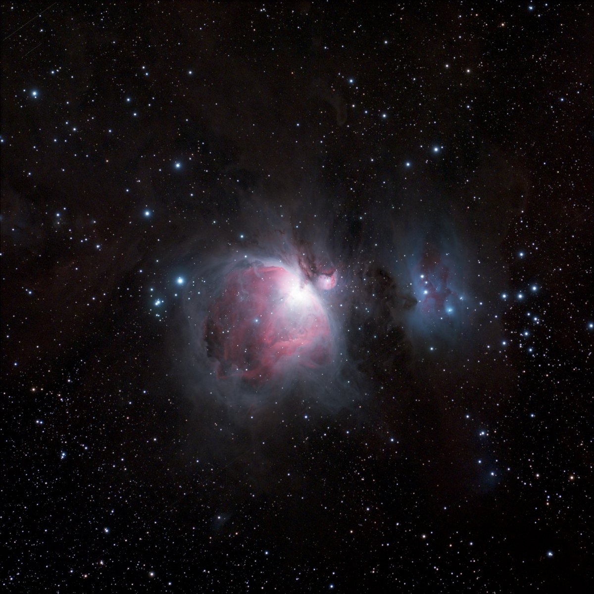 Nick Cano tweet media