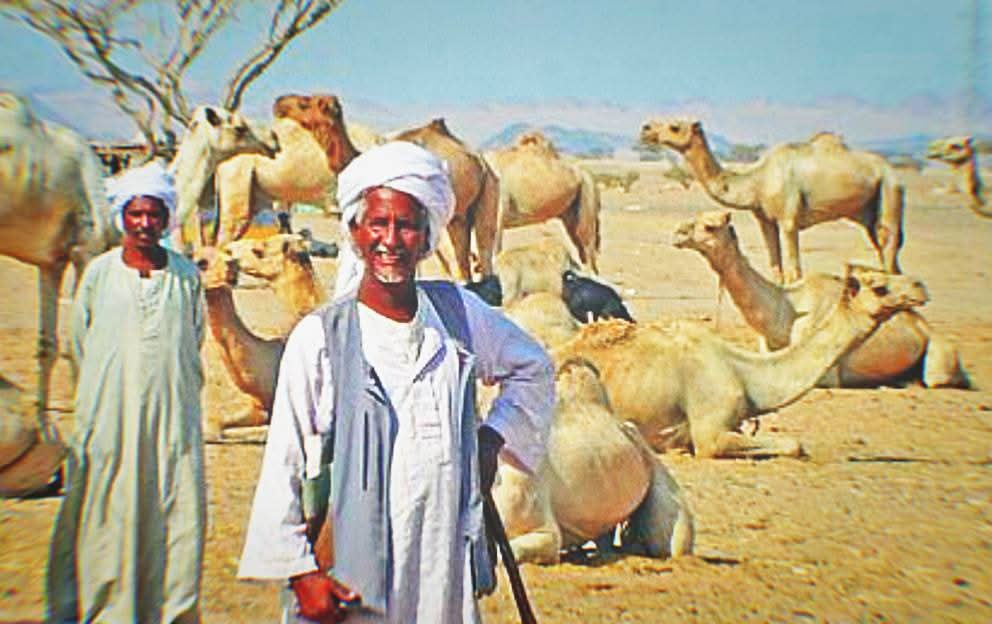 #السودان | حلايب وشلاتين مناطق ذات أهمية جغرافية وتاريخية كبيرة تقع في شمال شرق السودان على الحدود مع مصر، وتتمتع بتراث ثقافي غني يعكس تنوع سكانها. تسكنها قبائل سودانية عريقة مثل البجا والبشاريين وبعض القبائل العربية التي تحمل سمات الثقافة السودانية الأصيلة من عادات وتقاليد ولغة