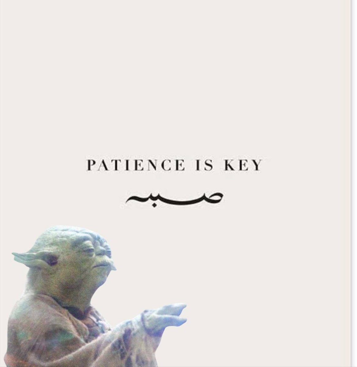 $Patience tweet media