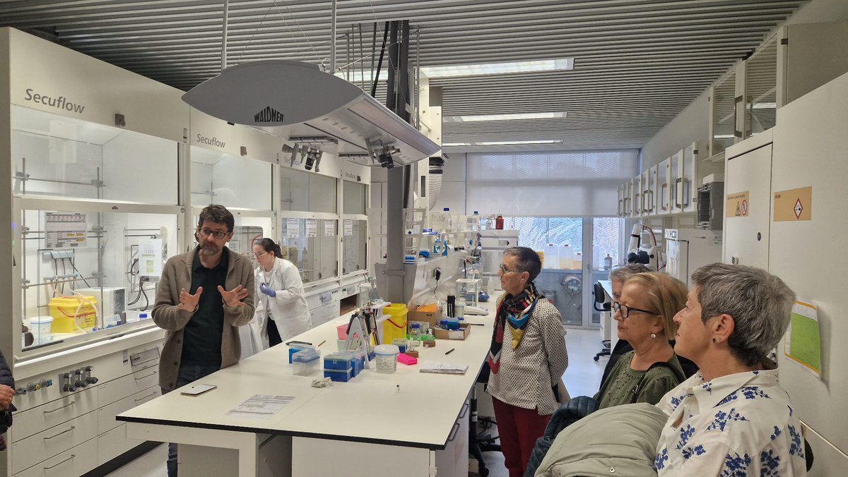 Universidade Sénior tweet media