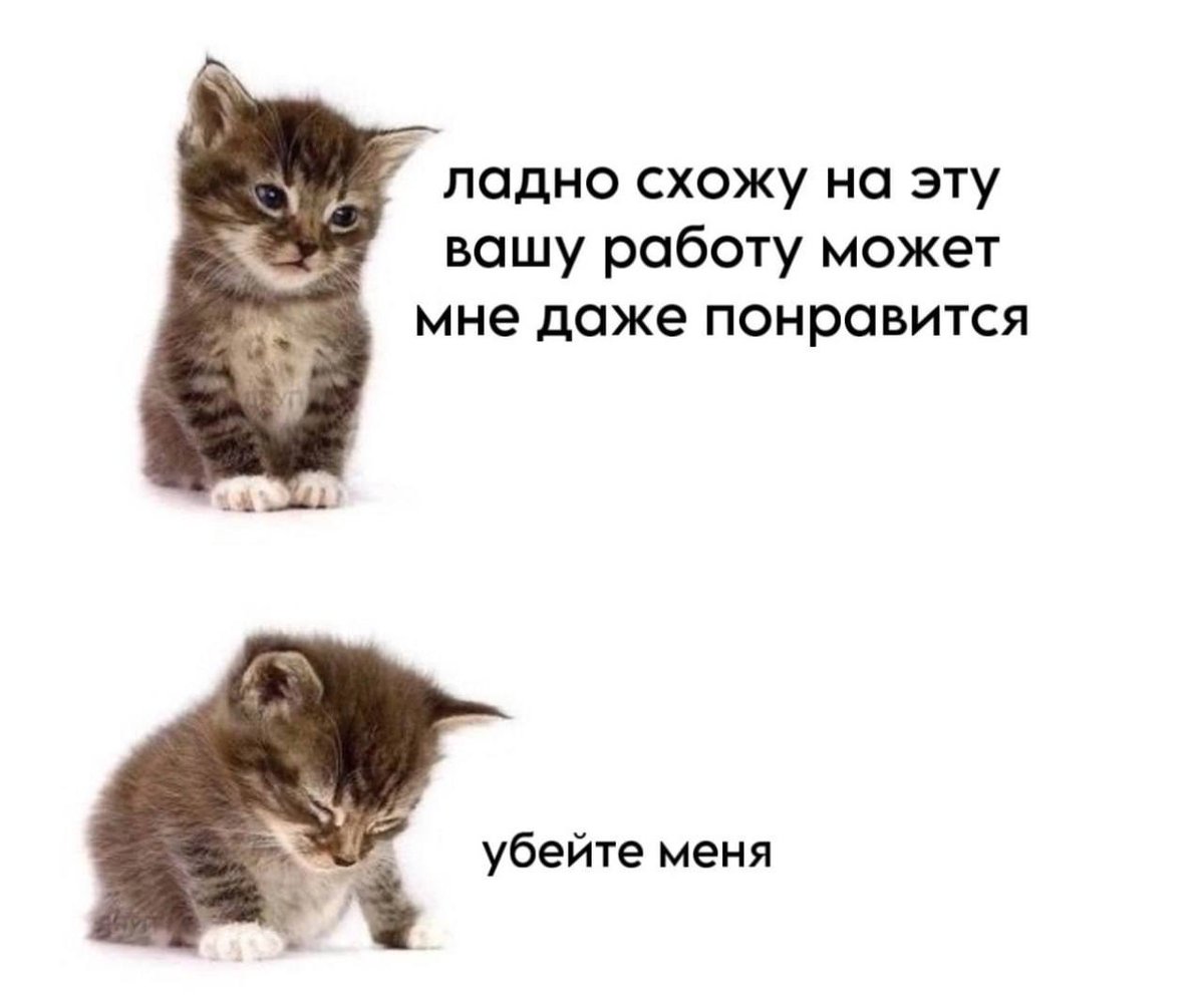bzzzz3333's tweet photo. https://t.co/fMsgDtEZuE