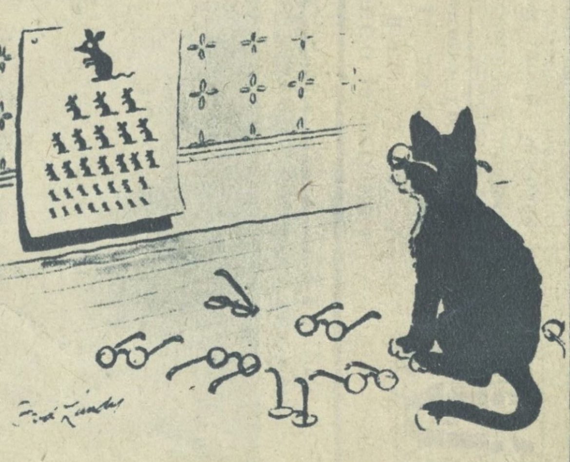 plum (@fizzfug) on Twitter photo 