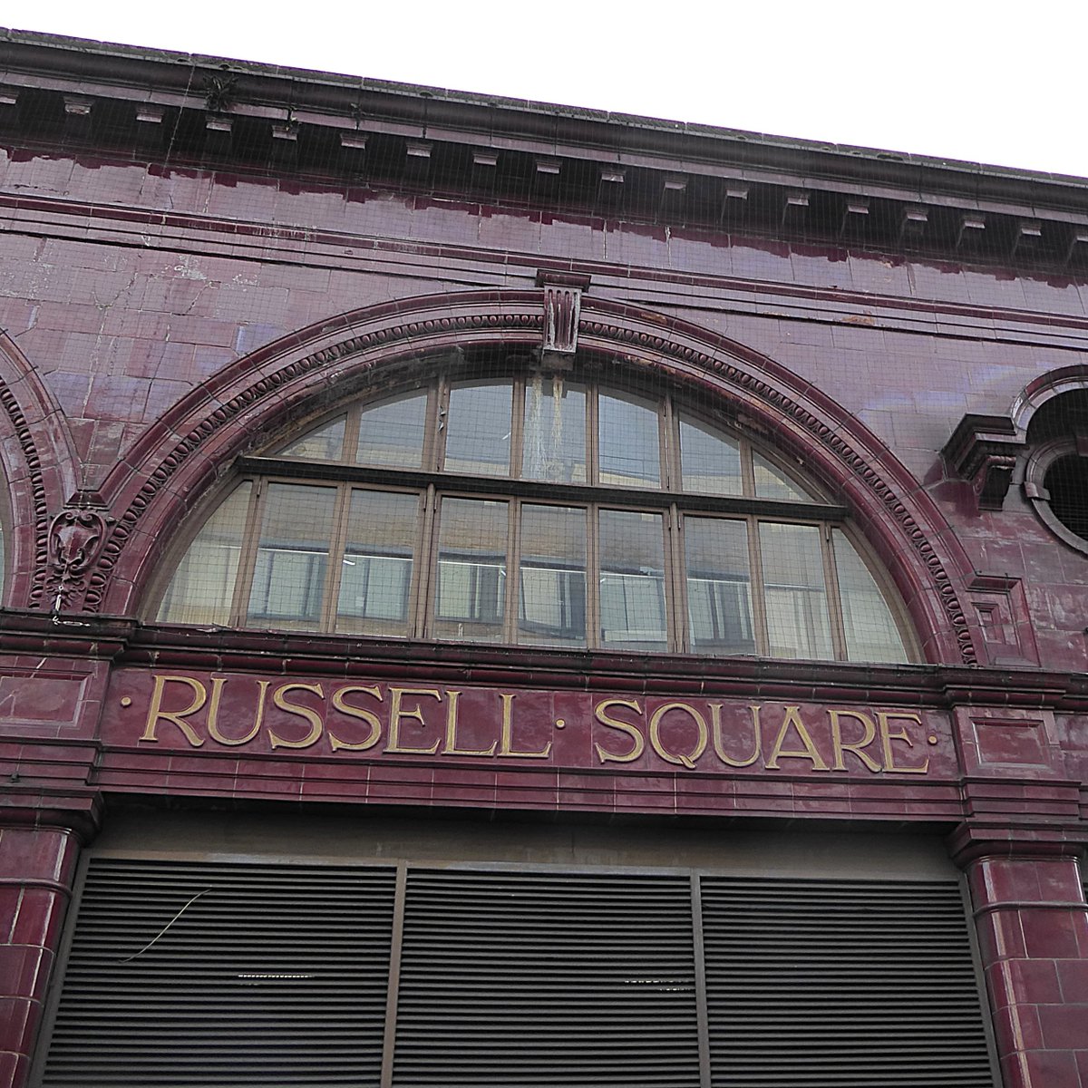 CatherineRosamundLowe tweet media