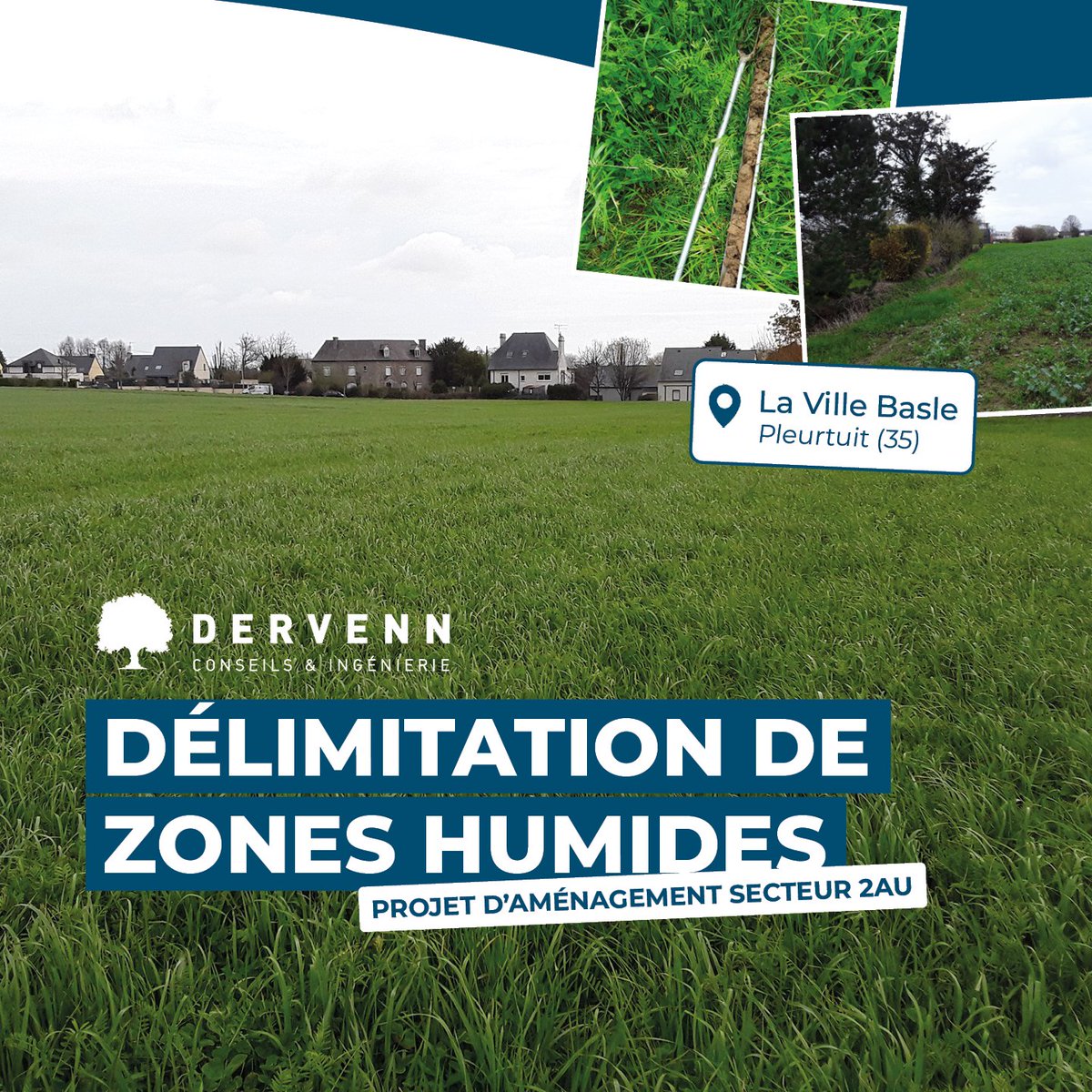 Dans le cadre de l’aménagement du secteur 2AU – la Ville Basle sur la commune de Pleurtuit, le pôle eau de notre bureau d'études Dervenn Conseils &amp; Ingénierie a été missionné pour réaliser la délimitation règlementaire des zones humides, sur une superficie de 8,5 hectares.