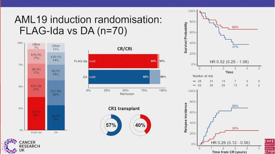 gjmccaughan's tweet photo. Congratulations @jadothm on your abstract at #ASH24 examining outcomes in intensively treated AML with KMT2A rearrangements
Intensified induction with FLAG-Ida improved MRD clearance and reduced relapse
Molecular MRD after course 2 was a strong predictor of survival https://t.co/w4sUDEIJuL